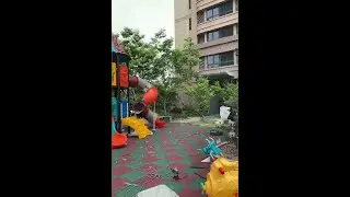best outdoor pack and play,playground equipment sale,playland rides China supplier #shorts