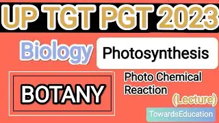 Photosynthesis- Photo Chemical Reaction (Lecture) Botany Biology UP TGT PGT