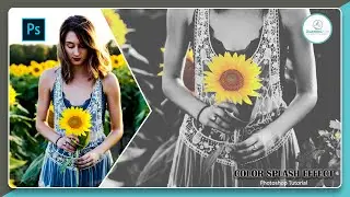 How to create COLOR SPLASH Effect in Photoshop | Selective Color |  The Learning Ship
