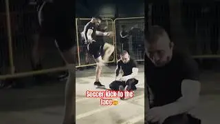 Brutal Soccer Kick KO!!🤯 #shorts #combatsports