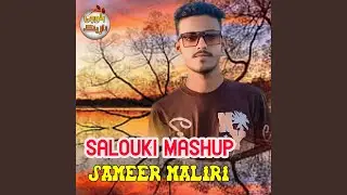 Salouki Mashup