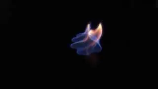 Alchemic Fire - Vine [Experimental]
