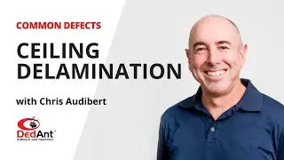 Ceiling Delamination - Common Defects by Inspector Chris - Dedant Building and Pest Inspections