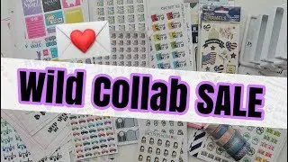 Wild Collab Sale Haul