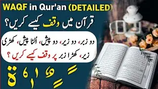 How to Stop at the End of a Quranic Verse | Rules of Waqf on Zabar, Zer & Pesh