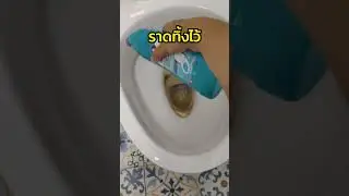Why I Love Using Logeski: No-Scrub Toilet Cleaner Test!