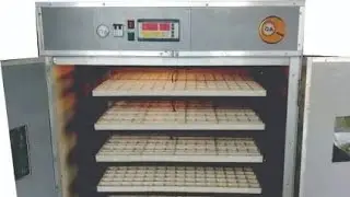 Automatic egg incubator machines for home and small farm use in 2026 are available at low prices
