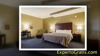 Comfort Inn & Suites Sea Tac Airport, SeaTac, Washington, USA