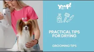 Yuup! Grooming Tip 14 - Practical Tips for Drying your Dog or Cat