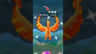 Casualy Found Shiny Galarian Moltres #shorts #galarian #shiny #moltres #ultragoo #rare #legendary