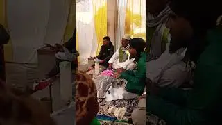 #daudnager tarari