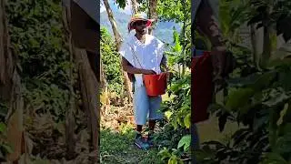 ☕ Coffee Tour in Colombia | Medell&iacute;n Vacation Experience