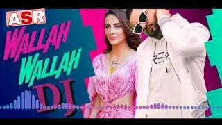 DJ Wallah Wallah Yo Yo Honey Sing DJ A S R....