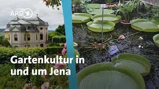 Gartenreise Thüringen: Unterwegs in und um Jena | MDR Garten