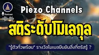 กายคตาสติระดับโมเลกุล - การมีสติรู้สัมผัสช่วยกระตุ้นระบบประสาท I #นะโมพุทธายะ