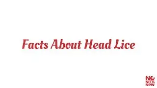 Facts About Head Lice - Video 1/10