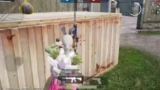 No Helmet Vest challenge 🥶