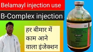 Belamyl injection veterinary use। B-Complex injection ke फायदे व नुकसान। Bhupendra। T O C।