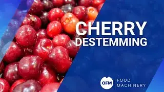 CHERRY destemming | Desrabadora para CEREZAS