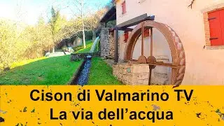 La Via dell’Acqua, un affascinante percorso nel bosco che conduce al Bosco delle Penne Mozze