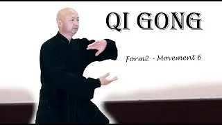 Qigong training basic form for beginners practice at home 2020 - form 2 -  Movement 6