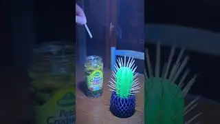 Funny cactus toothpick holder 😂