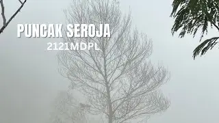 PUNCAK SEROJA Via Tieng - Puncak Terbaik Buat Pemula | IBNU ALIK