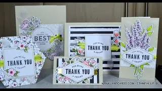 Kit 4 Lots of Happy All-Inclusive Card Kit - JanB UK Stampin' Up! Independent Demonstrator