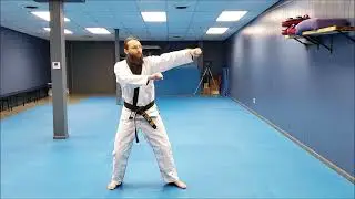 Lap Sao, Hammerfist, and Knifehand (Lesson 14)