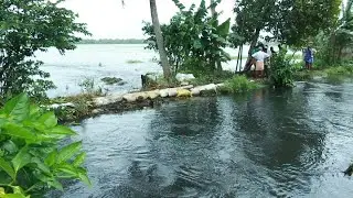കിഴക്കന്&zwj; വെള്ളത്തിന്&zwj;റെ വരവ്; വൈക്കത്തെ കാര്&zwj;ഷിക മേഖലയ്ക്ക് കനത്ത നഷ്ടം | Vaikom Paddy field | floo