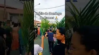 In&iacute;cio do Domingo de Ramos #liturgiadi&aacute;ria #b&iacute;blia #vidacat&oacute;lica
