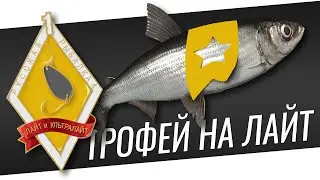 РУССКАЯ РЫБАЛКА 4 -  Квалификация Лайт и Ультралайт 1 / Трофей на вращалку / Стрим 2