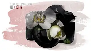 Презентация RED CACTUS