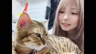 E子 Ely Cosplay 20210819 短片
