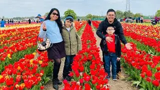 Tulip Season 🌷 Finding Joy & Relaxation | Autism Family Vlog |  #autismlifeuk