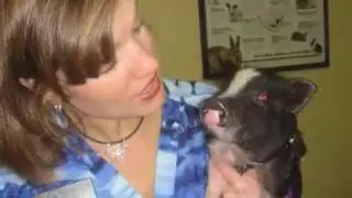 Avian & Exotic Animal Care