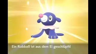 Shiny Robball Reaktion [105 Encounter!]