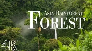 Forest Guard Training Motivation |Parade Practice in Forest Academy |Jungle Patrol Training RealClip
