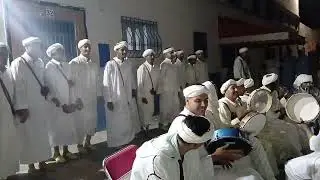 عواد.  افنى