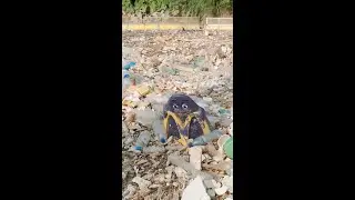 What is this? Strange Catch by Interceptor 006 in Guatemala #shorts