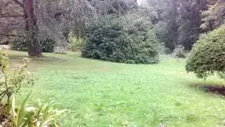 Nature #2 - Pluie sur le jardin - chuchotement binaural ASMR FR