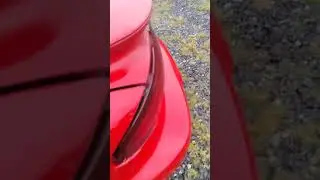 93 firebird trans am Lt1