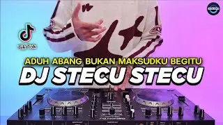 DJ STECU STECU SETELAN CUEK BARU MALU REMIX FULL BASS VIRAL TIKTOK TERBARU 2025