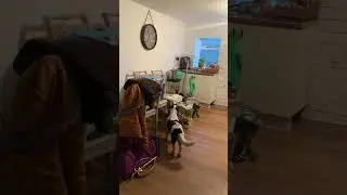 Getting to the crunch