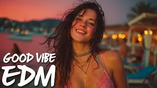 Chris Brown - Under The Influence (Remix, Dubstep, EDM)