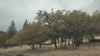 Time lapse. Don't miss the bucks towards end