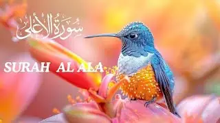 Surah Al_Ala #islamicscripture #qarifurqan #beautifulsurah #subscribemychannel #islamicvideo 