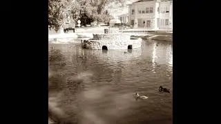 11-27 News - County Commission holds a Thanksgiving Eve Meeting that could be called -- Ducky