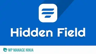 Hidden Input Field