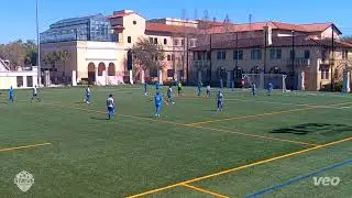 Strive Soccer Academy vs Rollins College (NCAA Division 2, Sunshine State Conference) l  Spring 2024
